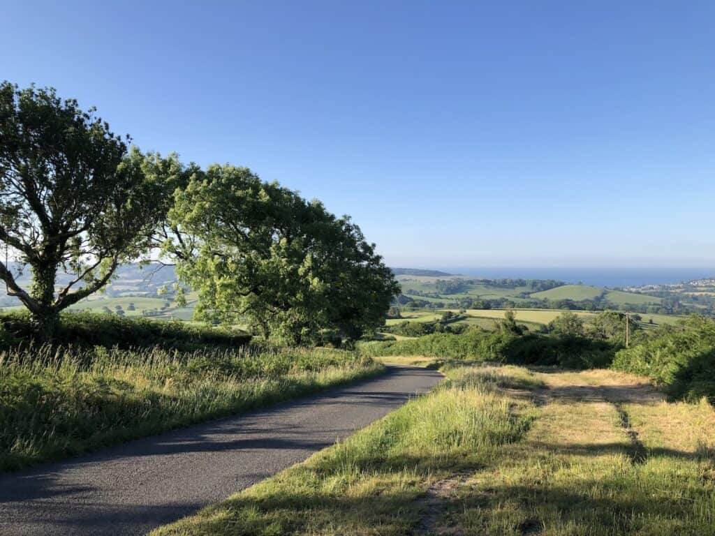 Serene Dorset coastal landscape with lush greenery, countryside and distant sea view.