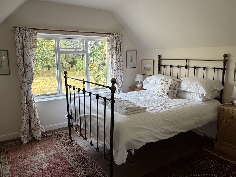 iron bedstead by a window, wooden floor and rug